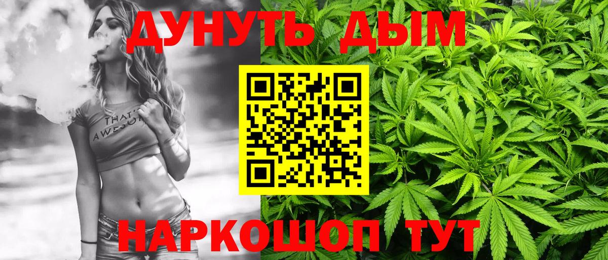 Конопля планчик  Вход с VPN  Марихуана Bruce Banner  МАРИХУАНА MAZAR  Тамбов 
